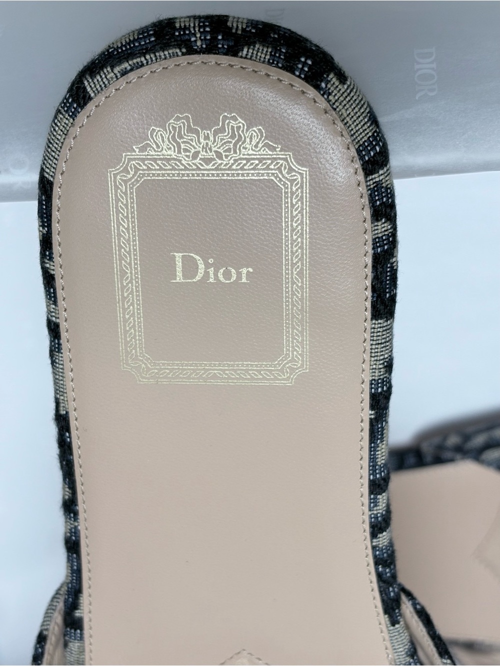 Dior Bow Slide
Deep Blue Dior Oblique - Picture 4 of 7